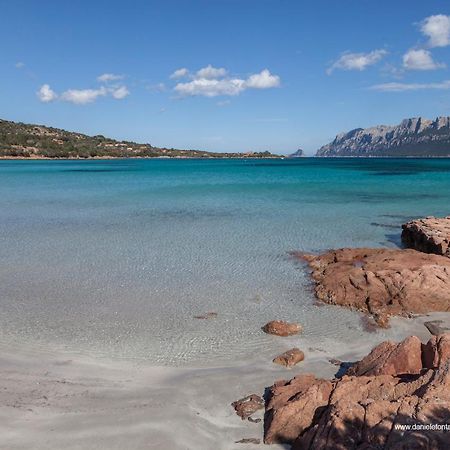 Aria di Vacanza - Gelsi Olbia Esterno foto