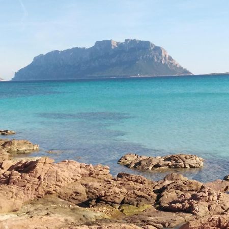 Aria di Vacanza - Gelsi Olbia Esterno foto