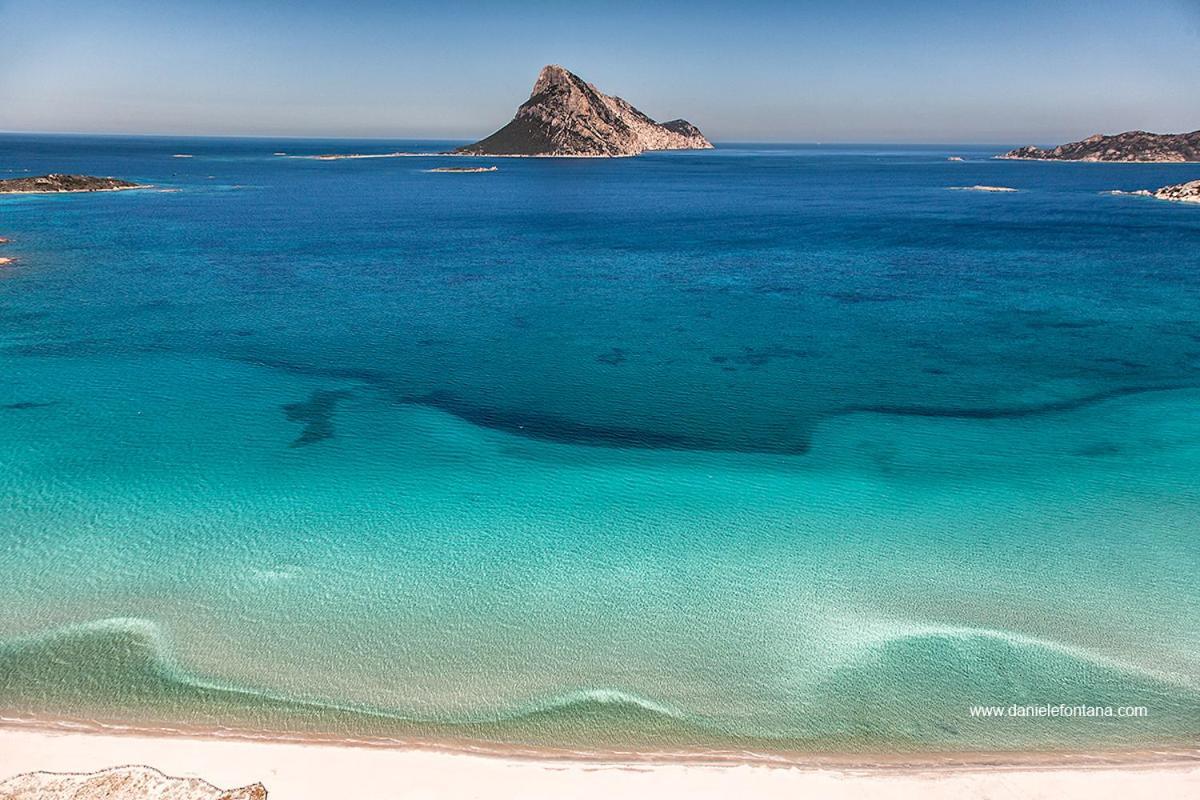 Aria di Vacanza - Gelsi Olbia Esterno foto
