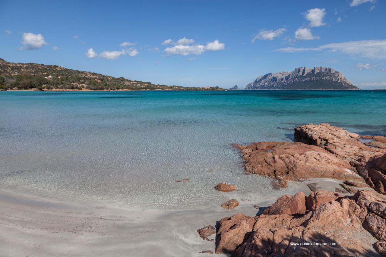 Aria di Vacanza - Gelsi Olbia Esterno foto