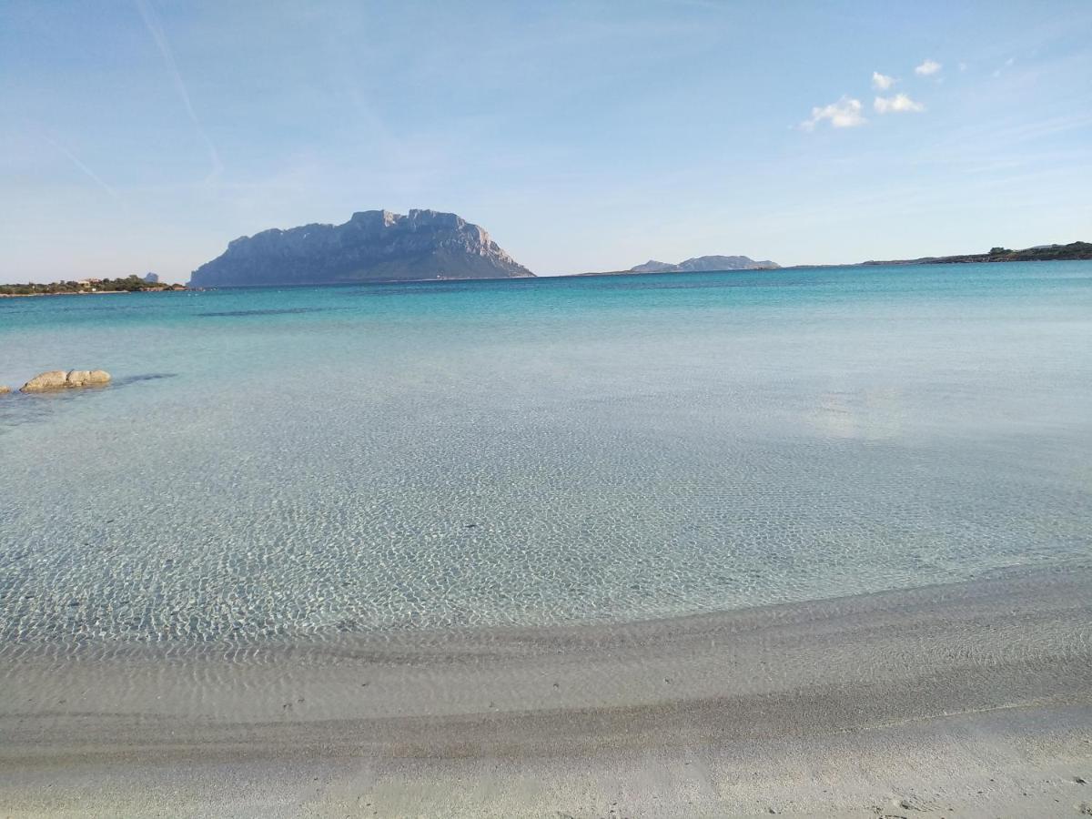 Aria di Vacanza - Gelsi Olbia Esterno foto