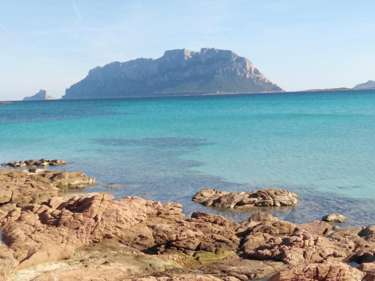 Aria di Vacanza - Gelsi Olbia Esterno foto